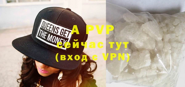 индика Верея