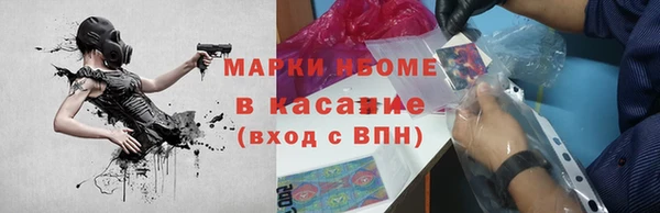 индика Верея