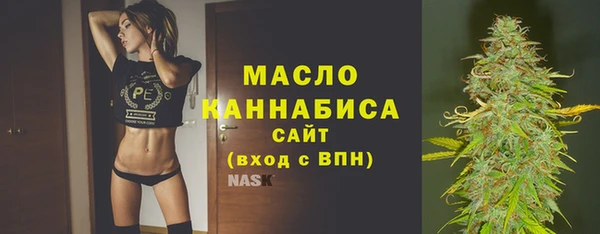 индика Верея