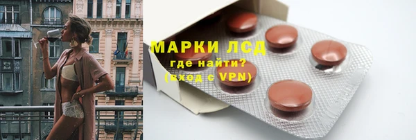 индика Верея