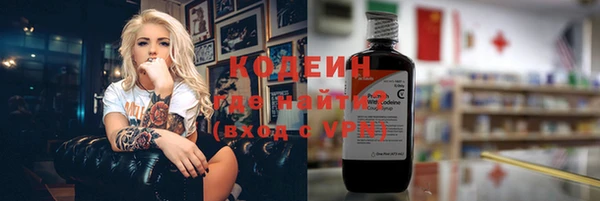 индика Верея