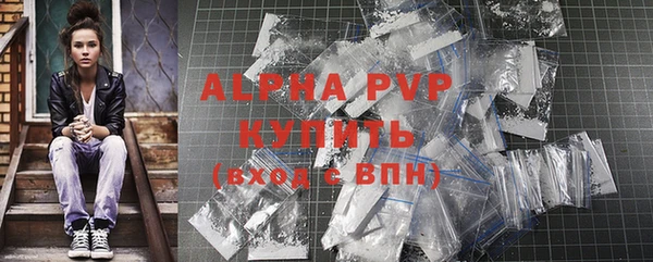индика Верея