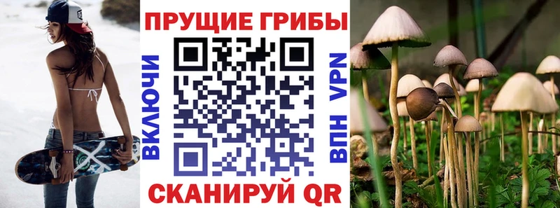 Псилоцибиновые грибы Magic Shrooms  Купить где  Козьмодемьянск 